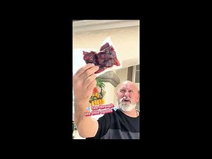 Still don’t know what a TikTok is — but we sure know candied salmon! 🐟