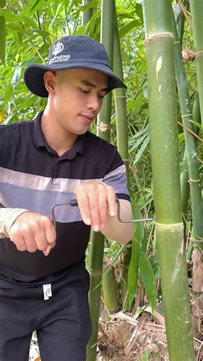 Survival Skills: How to Get Water from a BAMBOO Tree 💧💧💧#bamboo #survival #outdoor