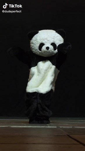 Who is Panda from Dude Perfect? Mystery Revealed!