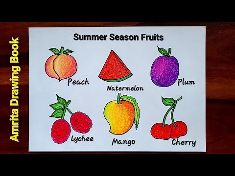 Summer Season Fruits Drawing | How to Draw Summer Fruits | Easy Fruits Drawing