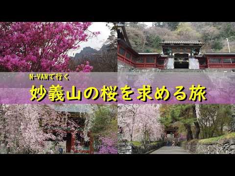 One-Day Spring Trip to Gunma in N-VAN: Weeping Sakura at Myogi Shrine & Unexpected Mountain Hike