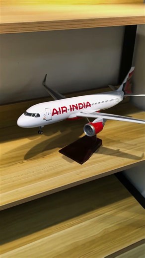 What do you think of this Indian model airplane?