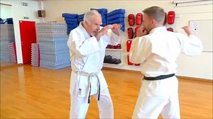 1.2K views · 41 reactions | Bunkai demonstration from the Bubishi: The Classic Manual of Combat with Patrick McCarthy | The Martial Way | Facebook