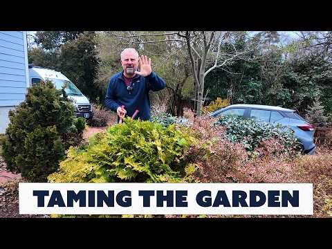How to Tame an Overgrown Garden (One Small Space at a Time) - Jim’s Weekly Garden Plan