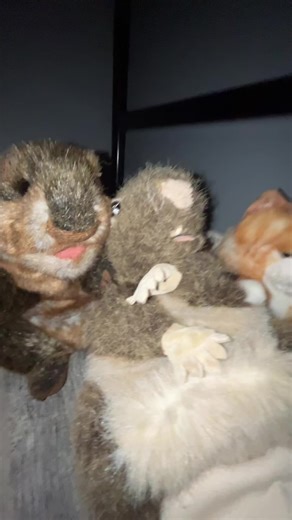 Funny Puppet Show Featuring a Cool Rat