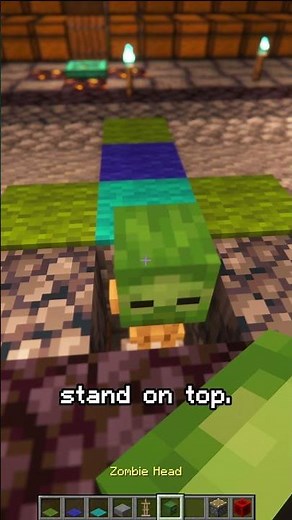How to Make a Zombie-Skin Carpet (Minecraft Hack)