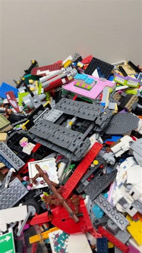 I bought 23 lbs of bulk Lego from Goodwill