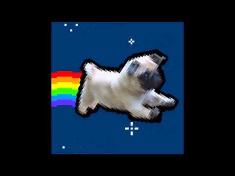 Nyan Pug
