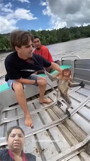 Kind Man Rescues Scared Monkey 😍