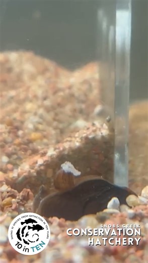 5K views · 27 reactions | What a glo-up ✨ You’re looking at a strand...