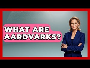 What Are Aardvarks? - The Wild Life Explorer