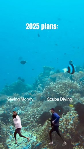 SSI International on Instagram: "Well, the plan isn't going too badly! You've got to save money so that you can go scuba diving and you've got to spend money so that you can go scuba diving! Are you better at improving your savings or scuba diving?  Want to go diving? Find an SSI center using our SSI dive center locator on our website.  in bio. #scubadiving #ssi #divessi #wearessi #"