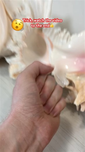 😅What shells would you do this trick with? #trick #fantasy #shells #sea #top #new