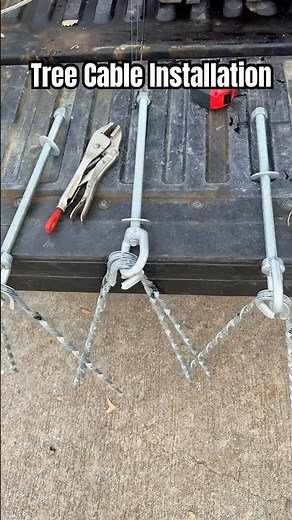 Extreme Tree Support | 6,000 lb Steel Cable Installed #treework #treeremoval #treesurgeon #arborist