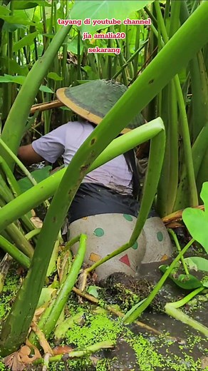 Berburu Ikan di Rawa - Fishing Girls Survival Skills