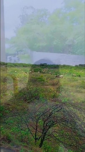 ఇదే కధ లైఫ్ అంటే... #1mviewers #1m #love #poetrygirl143