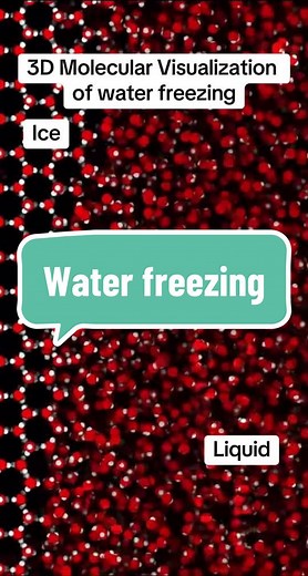 3D Molecular Visualization of water freezing #biology #apbiology #wate...