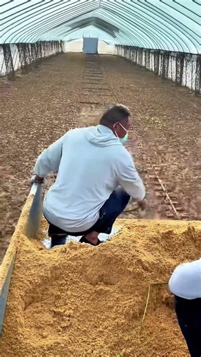 DIY Grasshopper Feeding Slide Car Improves Efficiency 🦗 #shorts #farming #diy #tool