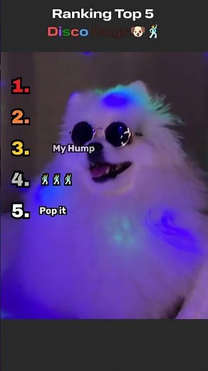 Ranking Top 5 Disco Dogs 🕺🕺🪩🐶