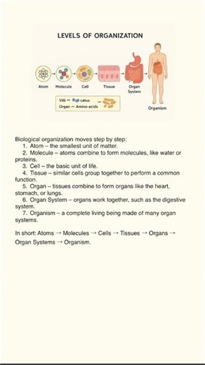 Levels of Biological Organization|From Atom to Organism