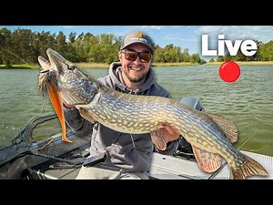 Trying to Catch a GIANT Pike - Live! 🔴