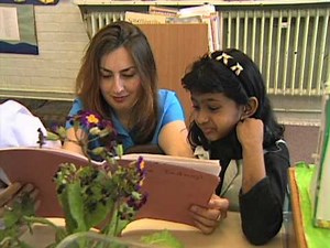 Mentoring in Primary Science: A Classroom Case Study