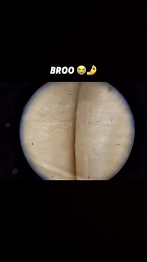 I like this scene 🔥🤣 #theamazingworldofgumball #tawog #gumball #viral #foryoupage #foryou