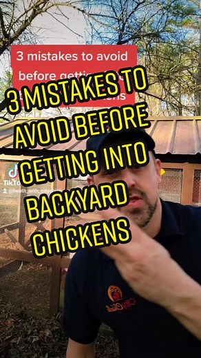 Avoid These 3 Mistakes Before Starting with Backyard Chickens