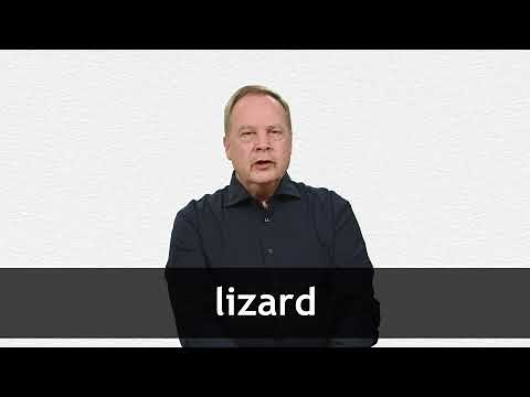 How to pronounce LIZARD in American English