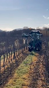 34K views · 126 reactions |  Pre-pruner with automatic opening...