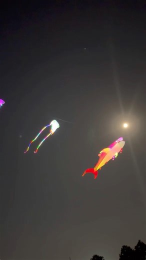 Flying kites and admiring the super beautiful LED kite displays #thadieusao #kiteo #kiteflying #p...