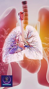 15K views · 137 reactions | Take a Breathe in the Beauty of Respiratory Anatomy | Medical Animation Media | Facebook