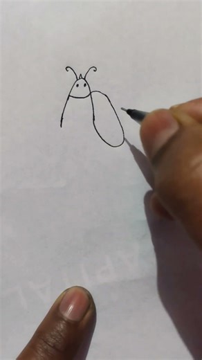 draw like this scatch to learn --