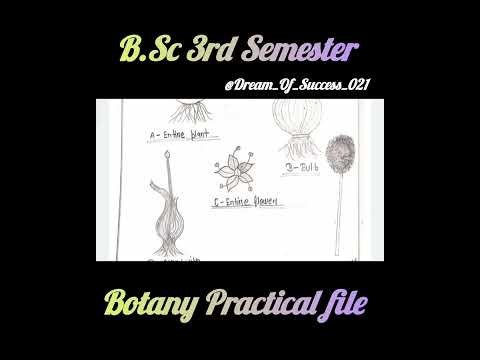 B.Sc 3rd Semester Botany Practical file#bsc#semesterexam#lucknowuniversity#2026#science#stream#viral