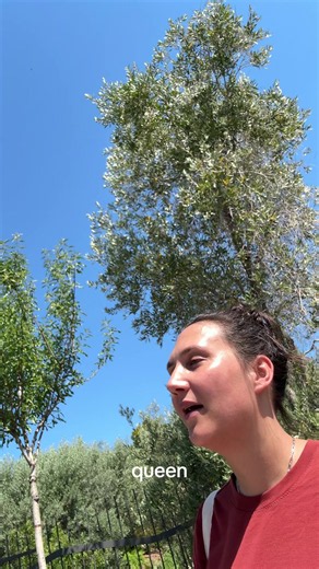 Jacqueline Goehner Smosh queen – is it better to speak or diss?