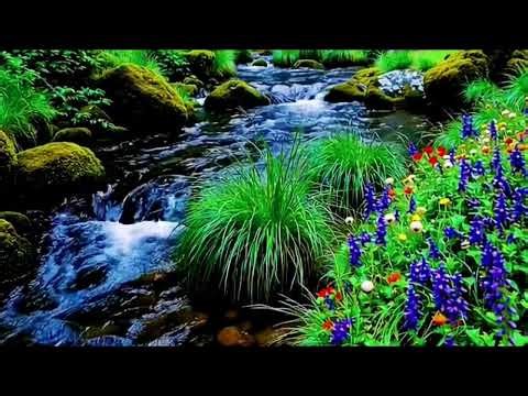 River Breathing Slow – Pure Calm Band