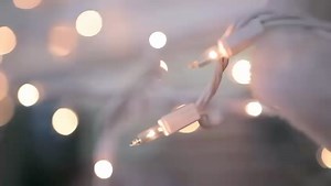 Dropkick Murphys on Reels