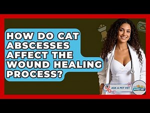 How Do Cat Abscesses Affect The Wound Healing Process? - Ask A Pet Vet