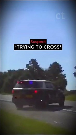 High-Speed Chase Ends With Unexpected K9 Mistake