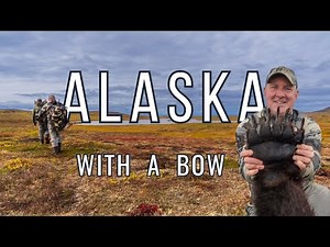 Alaska Brown Bear Bow Hunt — First Stalk, 76-Yard Shot