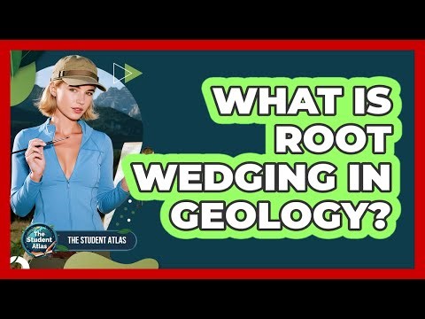 What Is Root Wedging in Geology?
