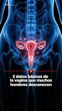 3 Basic Facts About the Vagina That Many Men Don't Know