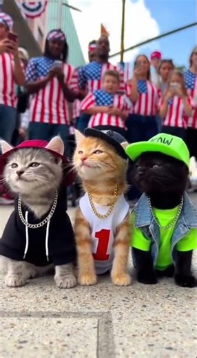 😼 Tiny Kittens Drop a Street Rap & the Crowd Goes CRAZY!