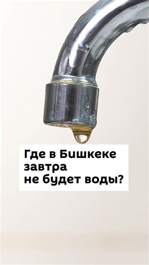 Pulse KG (@pulse.kg)’s videos with оригинальный звук - Pulse KG
