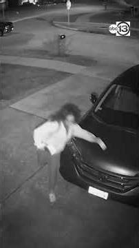 Man stops Spring ISD bus, points gun at driver and students: Pct. 4