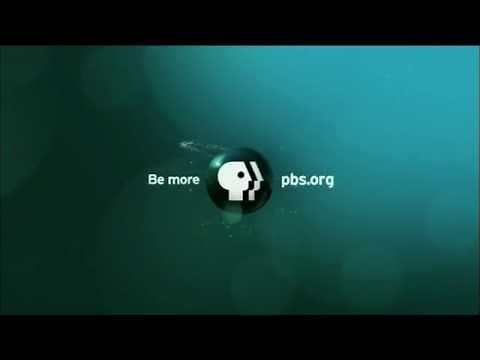 PBS Network ID 2009-Present