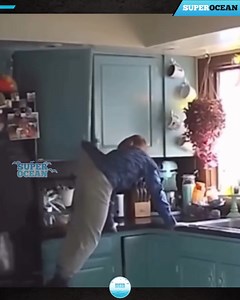 108K views · 1.4K reactions | 64Most Incredible Moments Caught on Camera | 퐌퐀퐔퐋퐀퐍퐀 퐑퐔퐇 퐔퐋 퐀퐌퐄퐄퐍 | Facebook