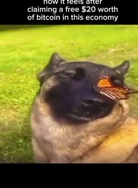 Claim Your Free $20 Bitcoin Today!