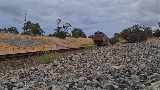 The massive MRL Iron Ore trains that slipped through the southern suburbs of Perth almost unnoticed I imagine loaded with 1000's of tonnes to be delivered at Kwinana from the mines at Koolyanobbing. This scene was in 2021 at Wattleup, but soon after the trains were redirected to Esperance with the last train running at the beginning of 2025. In 1960, the WA government and mining giant BHP reached an agreement on the establishment of an integrated iron and steel works at Kwinana, south of Perth. 