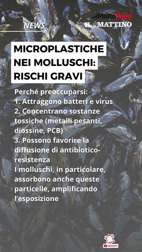 Microplastiche nei molluschi: rischi gravi